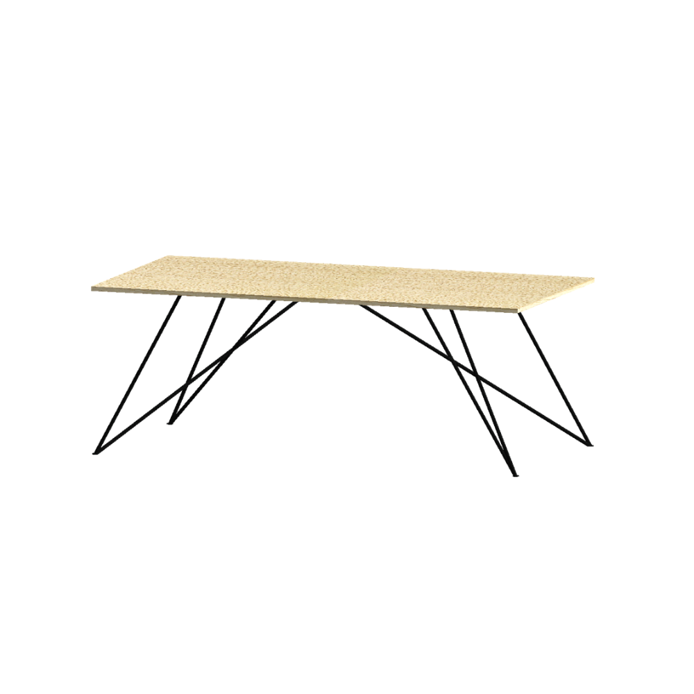 DINING TABLE, RECTANGLE, LARGE - Customer's Product with price 4600.00 ID ZR8WtaxeIhhDIFCr2ljji81q