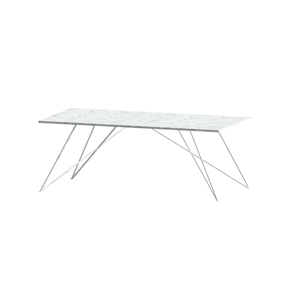 DINING TABLE, RECTANGLE, LARGE - Customer's Product with price 5700.00 ID 0CSAMs4JAHvv110aqQu10U6Y