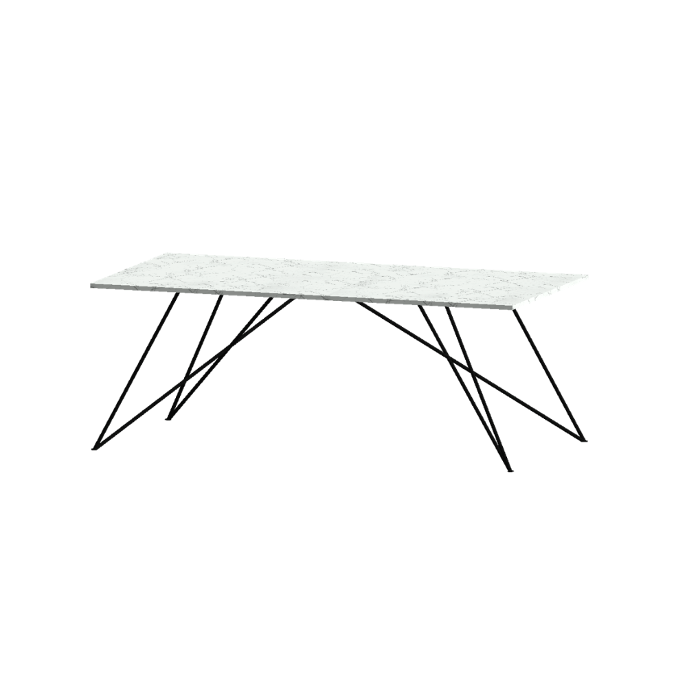DINING TABLE, RECTANGLE, LARGE - Customer's Product with price 5700.00 ID WU4Ys0Q4U0VyhUbXwwJmllij